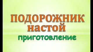 Настой листьев подорожника приготовление и применение