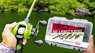 $25 Budget Fishing Kit Challenge BIG BASS