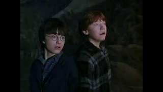 Harry Potter and Ron VS SPIDERS in the dark forest