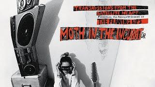 The Flaming Lips - Moth In the Incubator Official Audio