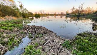 Naprawiliśmy osuszone starorzecze Sanu