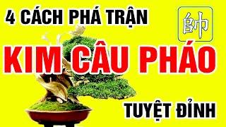 Kỹ Thuật Chơi TIÊN NHÂN CHỈ LỘ vs KIM CÂU PHÁO SIÊU ĐẲNG