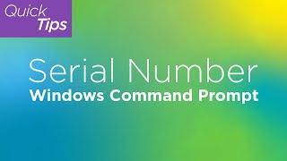 Serial Number Windows Command Prompt  Lenovo Support Quick Tips