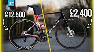 The Best 2024 Tour de France Road Bikes *On A Budget