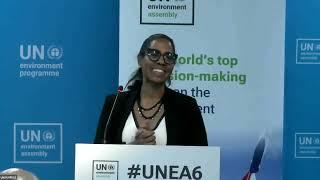 UNEA-6 Making nitrogen visible through the Sustainable Development Goals