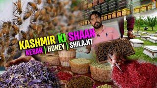 Live Shilajit Making  Dry Fruits Market in Kashmir  Honey Farming In Kashmir  Saffron Processing