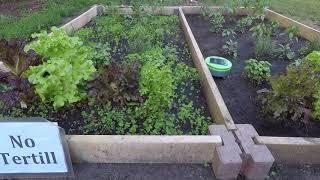 Garden with Tertill and Garden Without Tertill