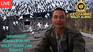 live  membahas rumah burung walet suara dan sarang 