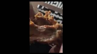 MAGGOTS found in chicken wings at Plumpton KFC Sydney Australia