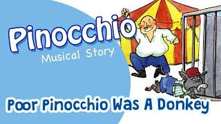 Reading Star  Pinocchio  Poor Pinocchio Was A Donkey