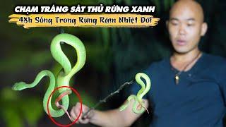 CHẠM TRÁN SÁT THỦ RỪNG XANH  48h SỐNG TRONG RỪNG RẬM NHIỆT ĐỚI  TẬP 2