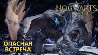 Кайфовое прохождение #11 Hogwarts Legacy Хогвартс Наследие