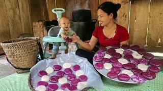 Traditional way to make banh day from sticky rice and naturally colored leaves to sell at the market