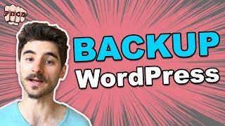 3 Effective Ways to Back Up Your Website - WordPress Backup