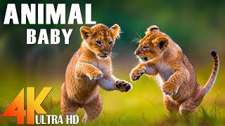 Baby Animals 4K - Amazing World Of Young Animals  Scenic Relaxation Film