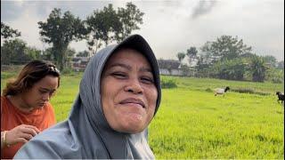 IBUK ORA ENTUK SERAGAM NGANTEN SEBAB IBUK ORA NDUE BOJO‼️nyusul mak darni angon