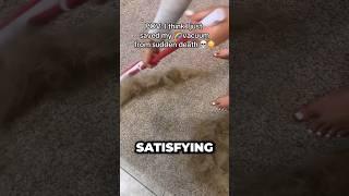 Satisfying carpet cleaning #cleaning #shedding #dogs