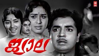 Jwala 1969  Malayalam Full Movie  Prem Nazir  Sheela  Sharada  Malayalam Old Movies