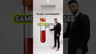 GCSE Biology - Blood Rap