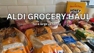 ALDI GROCERY SHOPPING HAUL£100 WEEKEND  RESTOCK DINNER IDEASBACK TO BASICSLARGE UK FAMILY OF 9