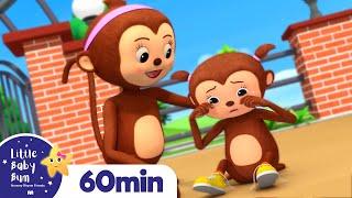 Five Little Monkeys +More Nursery Rhymes and Kids Songs  Little Baby Bum