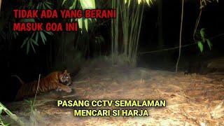 PASANG CCTV DI GOA PINGGIRAN HUTAN MENCARI KEBERADAAN HARIMAU JAWA  CCTV HOROR 39