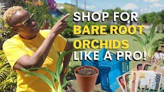 8 Tips for a great orchid shopping experience