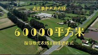 这个农场售价多少呢？要如何去选择和购买价格合适的农场？走进澳洲养鸡农场，探寻现代农场主的生活方式。