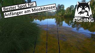 Bester Spot für Anfänger am Moskitosee + Geschenke Level 7-8  Anfänger Guide  Russian Fishing 4