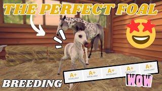 NEW STAT UPDATE MAKES BREEDING THE PERFECT HORSE EASIER  Rival Stars Horse Racing