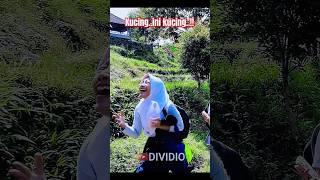 Moyet dibilang kucing.. #funny #viral #shorts #happy #funnyvideo