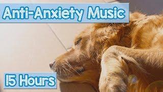 Calming Music for Puppies with Anxiety Soothing Lullabies for Anxious and Stressed Dogs Tested