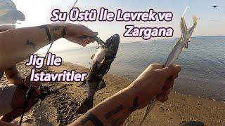 Sea Bass Garfish Horse Mackerel Izmir Lrf Fishing