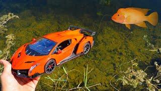 Lamborghini Catches Huge Colorful Fish For Pond Monster