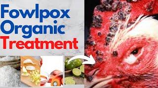 Best Natural Treatment For Fowlpox- Organic Tips For Full Recovery