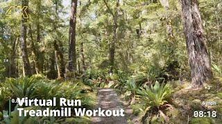 Virtual Run  Virtual Running Videos Treadmill Workout Scenery  Forest Trail to Rainbow Beach