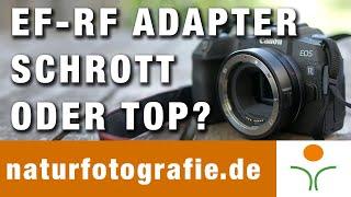 CANON EF-RF Adapter. Schrott oder Top?