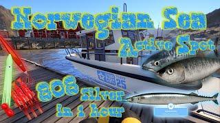 Russian Fishing 4 RF4 - Norwegian Sea -Active Farm Spot- Atlantic Saury Super Trophy