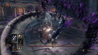 Fighting this Boss like an Anime Protagonist - Dark Souls 3 The Convergence Archdruid Caimar NG+