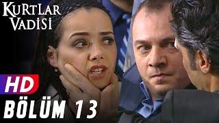 Kurtlar Vadisi - 13.Bölüm  FULL HD YENİ