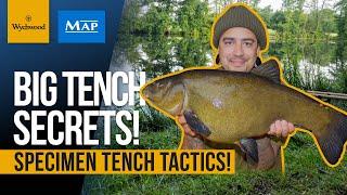 Specimen Tench Fishing  Matt Fernandez  Feeder Fishing