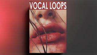 FREE DOWNLOAD FEMALE VOCAL SAMPLE PACK - VOL.52 vocal samples