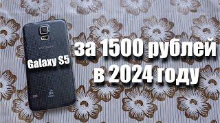 купил Samsung Galaxy S5 за 1500 рублей Можно ли им пользоваться в 2024 году?