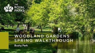 The Woodland Gardens in Bushy Park spring walkthrough  The Royal Parks