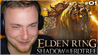 DER START INS ELDEN RING DLC  Elden Ring Shadow of the Erdtree Blind #01  SolutionPlayz