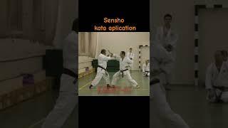 Kato Sensei Shows some applications of Sensho kata #karate #martialarts #sportmartialarts