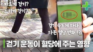 식후 1시간 걷기 운동이 혈당에 영향을 미친다?