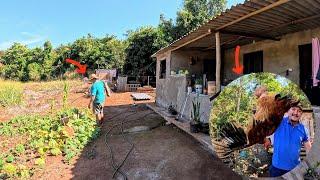 Conheça a roça onde meu pai Vive Pescamos e preparamos Peixe frito dia a dia na roça.