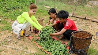 The homeless boy and the poor girl went to pick pumpkins to sell to save money to buy chickens