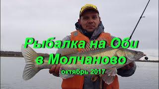 Рыбалка на Оби в Молчаново ТО. Октябрь 2017.